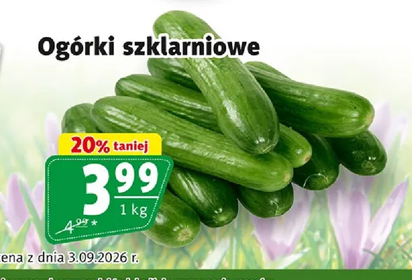 Ogórki szklarniowe promocja w Prim Market