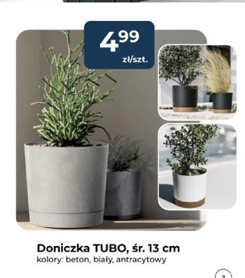 Doniczka Tubo śr. 13 cm promocja w PSB Mrówka