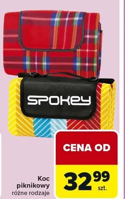 Koc piknikowy promocja w Carrefour