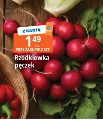 Rzodkiewka pęczek promocja w Leclerc