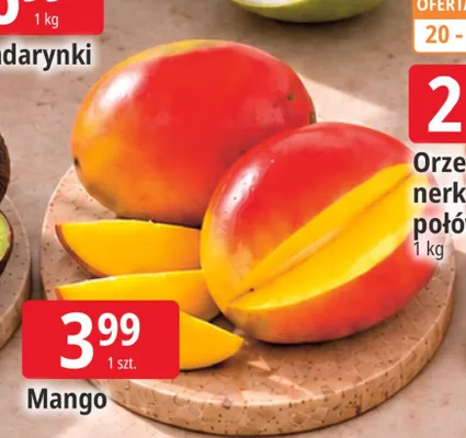 Mango promocja w Leclerc