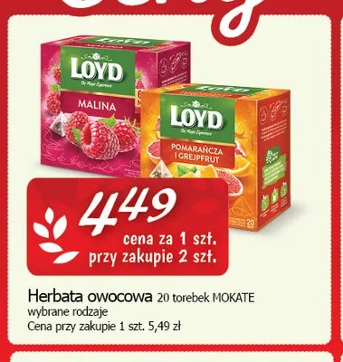 Herbata owocowa Loyd Pomarańcza i Grejpfrut promocja w CEZAR Delikatesy