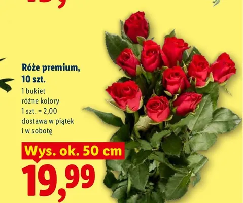 Róże premium 10-pak promocja w Lidl