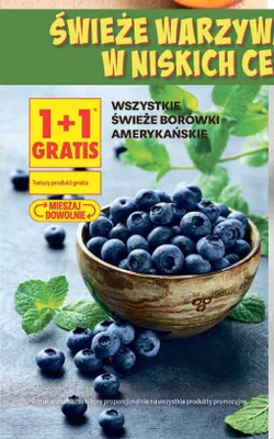 Świeże borówki amerykańskie promocja w Biedronka