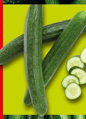 Ogórek szklarniowy promocja w Kaufland