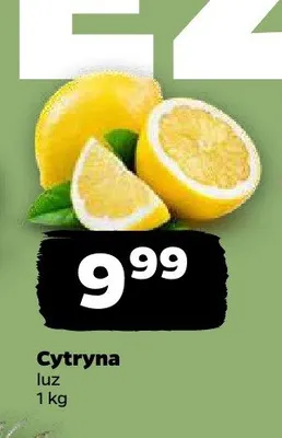 Cytryna luz promocja w Netto