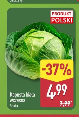Kapusta biała wczesna polska promocja w Aldi
