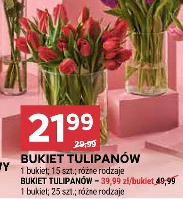 Bukiet tulipanów promocja w Stokrotka