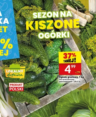 Ogórek gruntowy promocja w Twój Market
