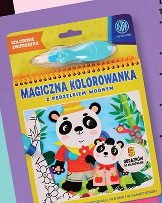 Zestaw kreatywny - wodna kolorowanka z pędzelkiem promocja w Biedronka