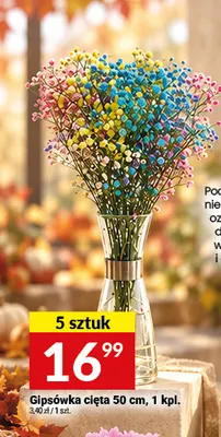 Gipsówka cięta 50 cm promocja w Twój Market