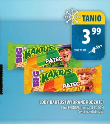 Lody Kaktus promocja w Arhelan