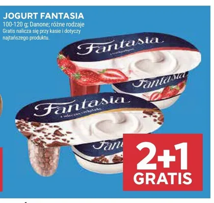 Jogurt Fantasia z kulkami czekoladowymi Danone promocja w Stokrotka