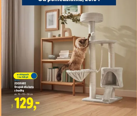 Drapak dla kota z budką promocja w Lidl