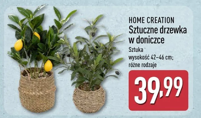 Sztuczne drzewka w doniczce Home Creation promocja w Aldi