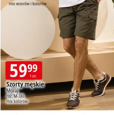 Szorty męskie Moraj roz. M-3XL mix kolorów promocja w Leclerc