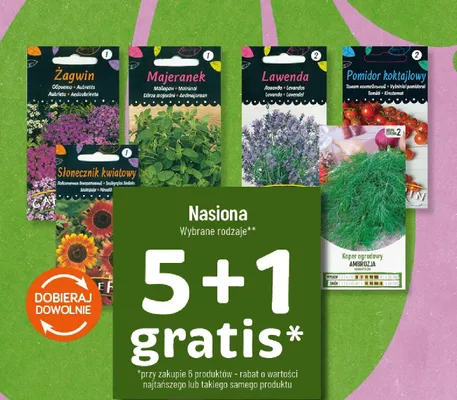 Nasiona - lawenda promocja w POLOmarket