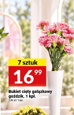 Bukiet cięty gałązkowy goździk promocja w Twój Market