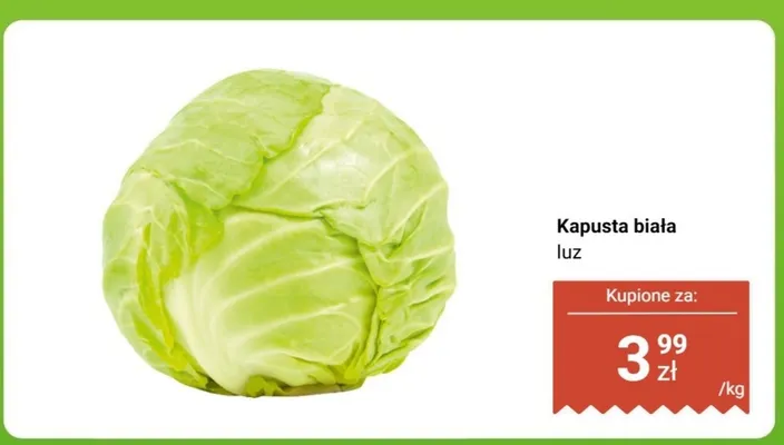 Kapusta biała luz promocja w Biedronka