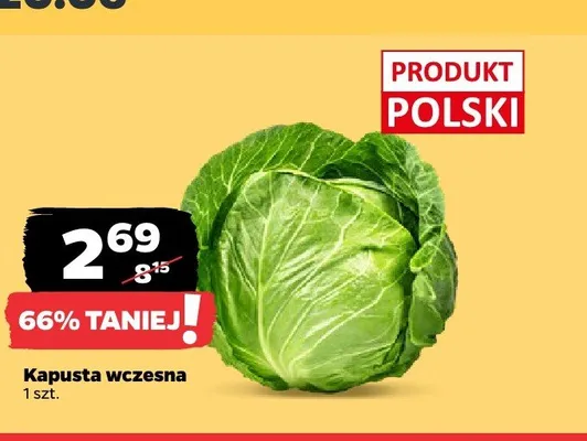 Kapusta wczesna promocja w Netto