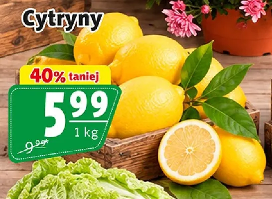 Cytryny promocja w Prim Market
