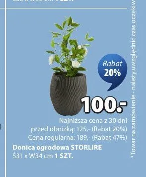 Donica ogrodowa STORLIRE S31xW34cm promocja w Jysk