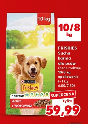 Sucha karma dla psów Purina Friskies Active z wołowiną 10 kg promocja w Kaufland