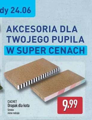 Drapak dla kota CACHET promocja w Aldi