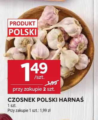 Czosnek polski Harnaś promocja w Stokrotka
