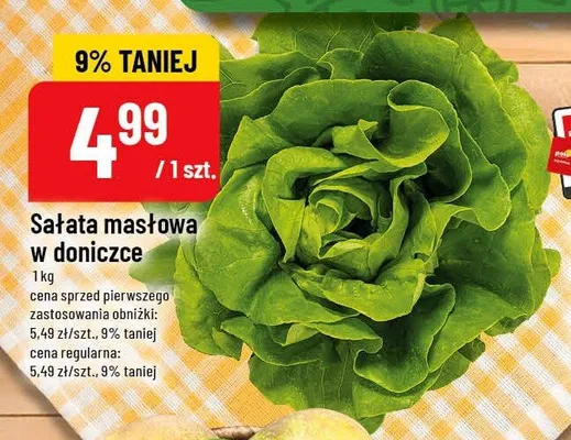Sałata masłowa w doniczce promocja w POLOmarket