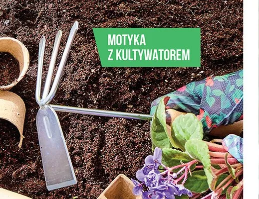 Narzędzia ogrodnicze - motyka z kultywatorem promocja w Biedronka