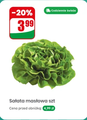 Sałata masłowa promocja w Dino