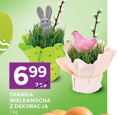 Trawka wielkanocna z dekoracją promocja w Stokrotka