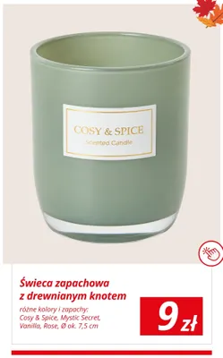 Świeca zapachowa z drewnianym knotem Vanilla promocja w KiK