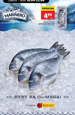 Świeża dorada patroszona promocja w Biedronka