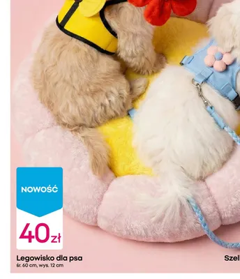 Legowisko dla psa 58.5 cm Zoofari promocja w Pepco