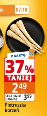 Pietruszka korzeń promocja w Leclerc