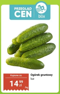 Ogórek gruntowy luz promocja w Biedronka
