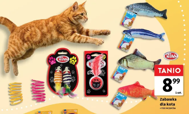 Zabawka dla kota Pet Nova promocja w Intermarche