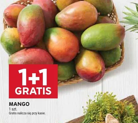 Mango promocja w Stokrotka