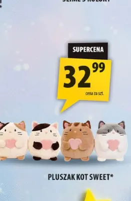 Pluszak kot Sweet promocja w Arhelan
