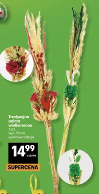 Tradycyjna palma wielkanocna wybrane rodzaje promocja w Delikatesy Centrum