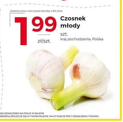 Czosnek młody polski promocja w Frac