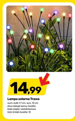 Lampa solarna Trawa wielokolorowa promocja w Bricomarche