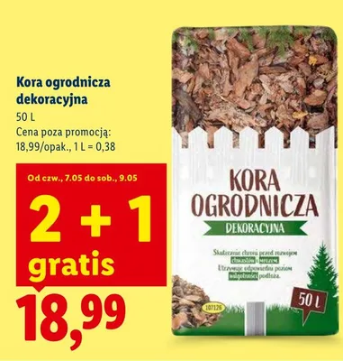 Kora ogrodnicza dekoracyjna promocja w Lidl