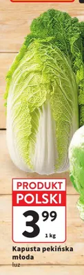 Kapusta pekińska młoda luz promocja w Intermarche