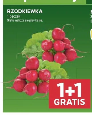 Rzodkiewka promocja w Stokrotka