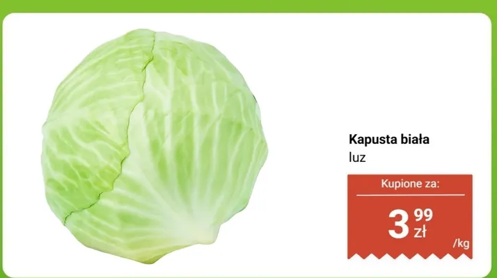 Kapusta biała promocja w Dino