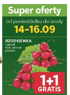 Rzodkiewka promocja w Stokrotka