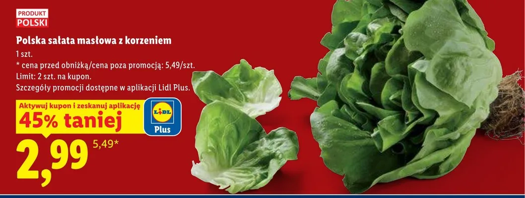 Polska sałata masłowa z korzeniem promocja w Lidl